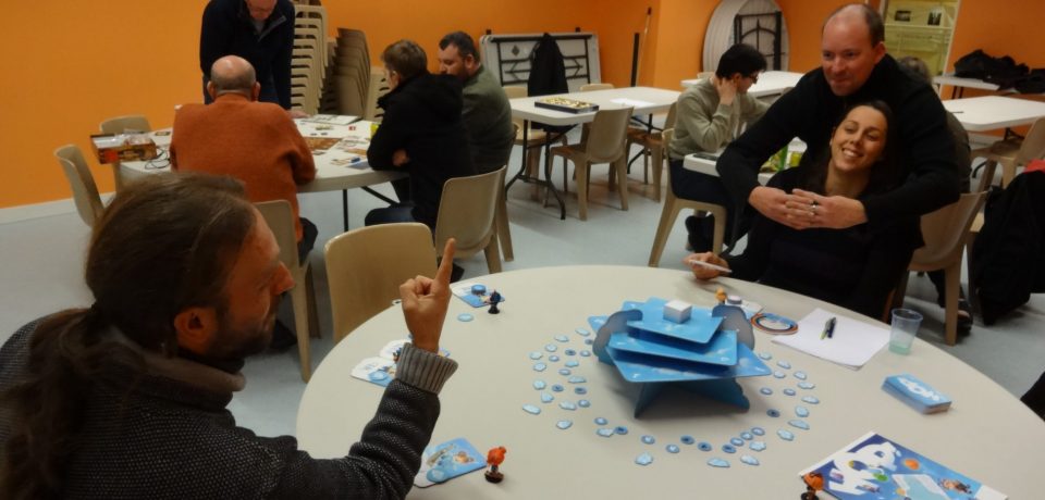 Compte-rendu de la séance n°9 du 11 janvier 2017 : Comme des Meeples