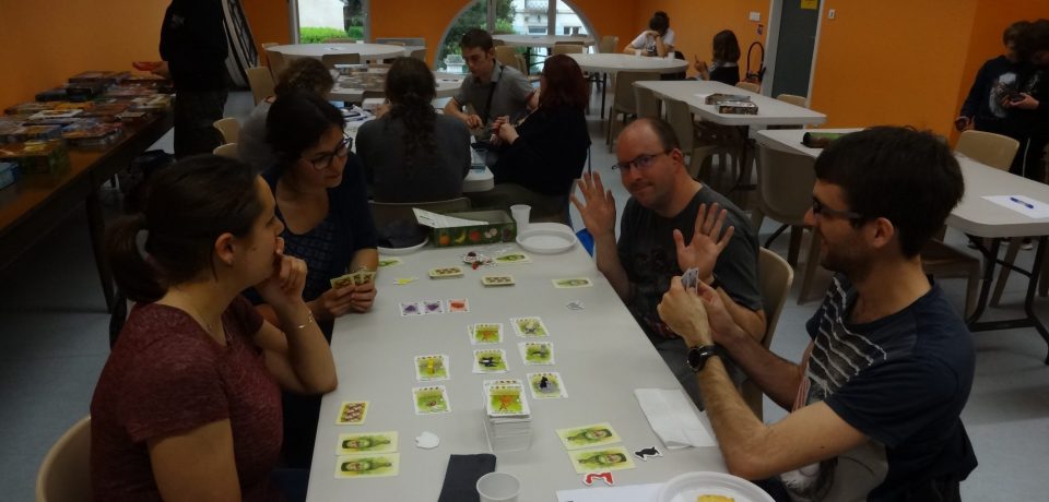 Compte-rendu de la fièvre ludique n°08 du 13 mai 2017 : Message from the Meeple