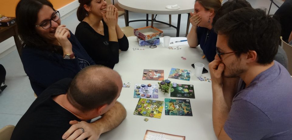 Compte-rendu de la séance n°8 du 10 janvier 2018 : Meeple Fiction