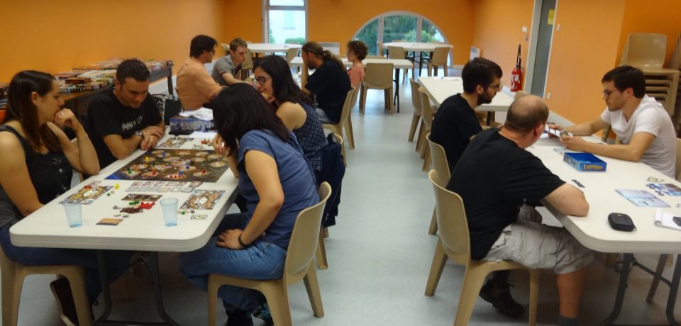 Compte-rendu de la séance n°19 du 06 juin 2018 : Sous le même Meeple